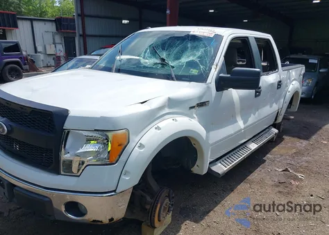 2010 Ford F-150 Xlt from USA, damaged, VIN 1FTFW1EV6AFB32505